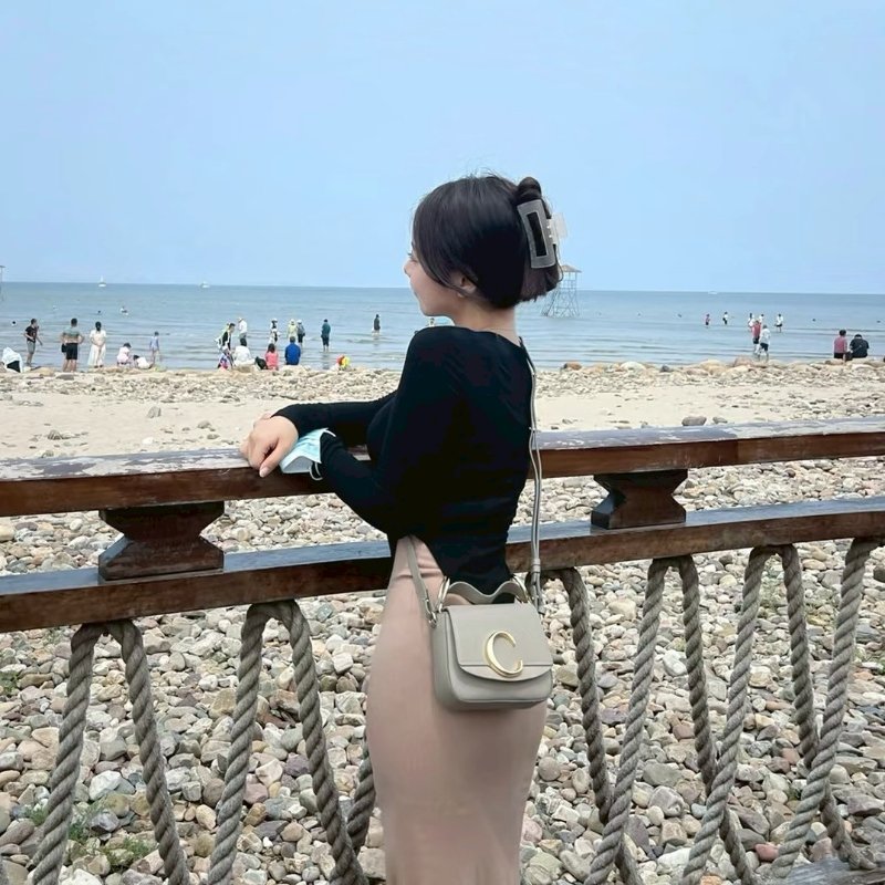 🏷️Chloe.Mini C Bag-22