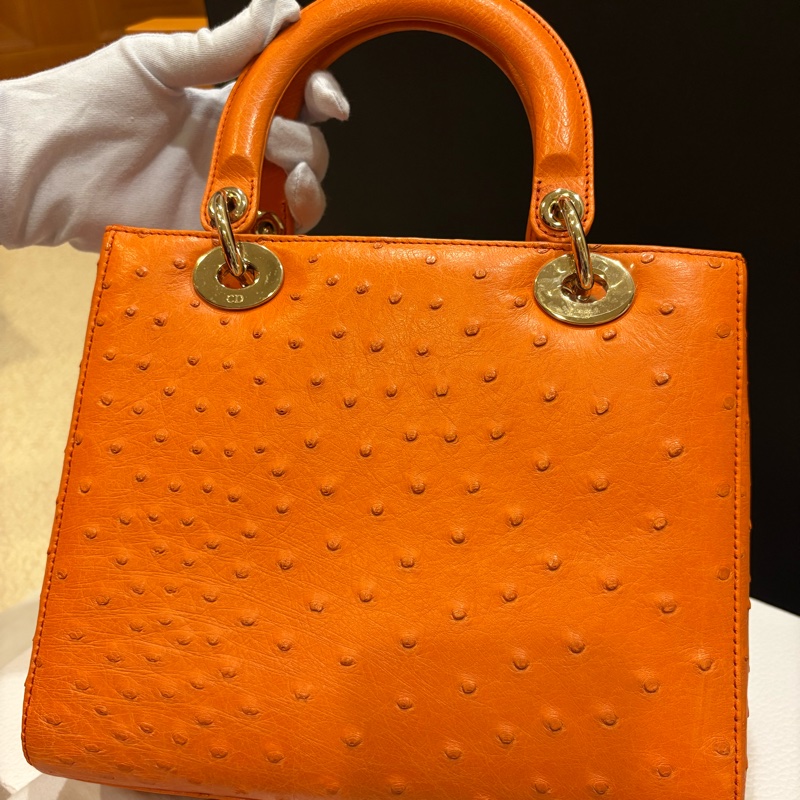 Dior 鴕鳥皮黛妃包 Lady Dior-1