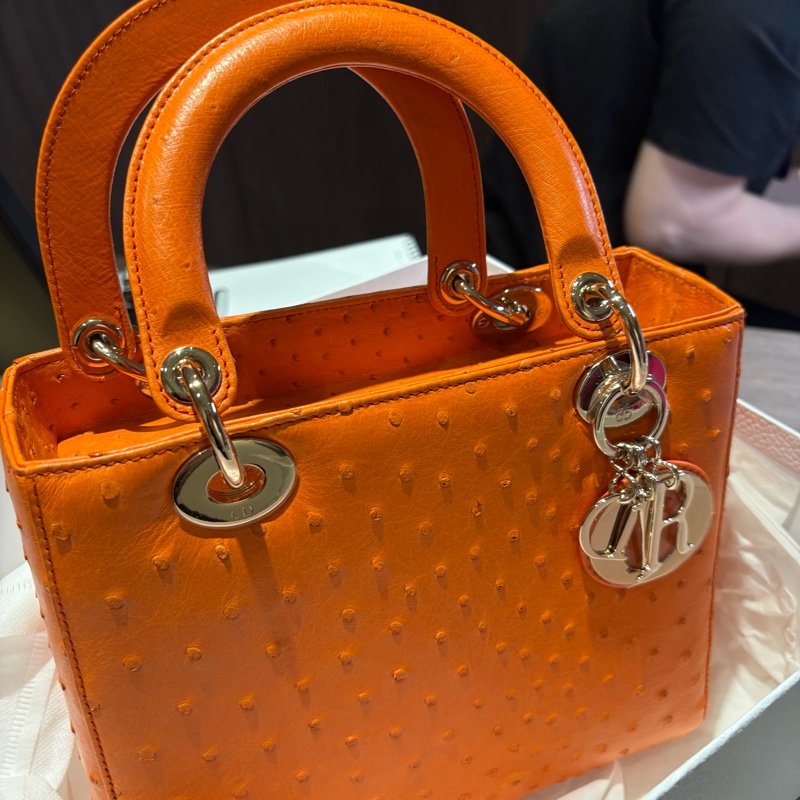 Dior 鴕鳥皮黛妃包 Lady Dior-4