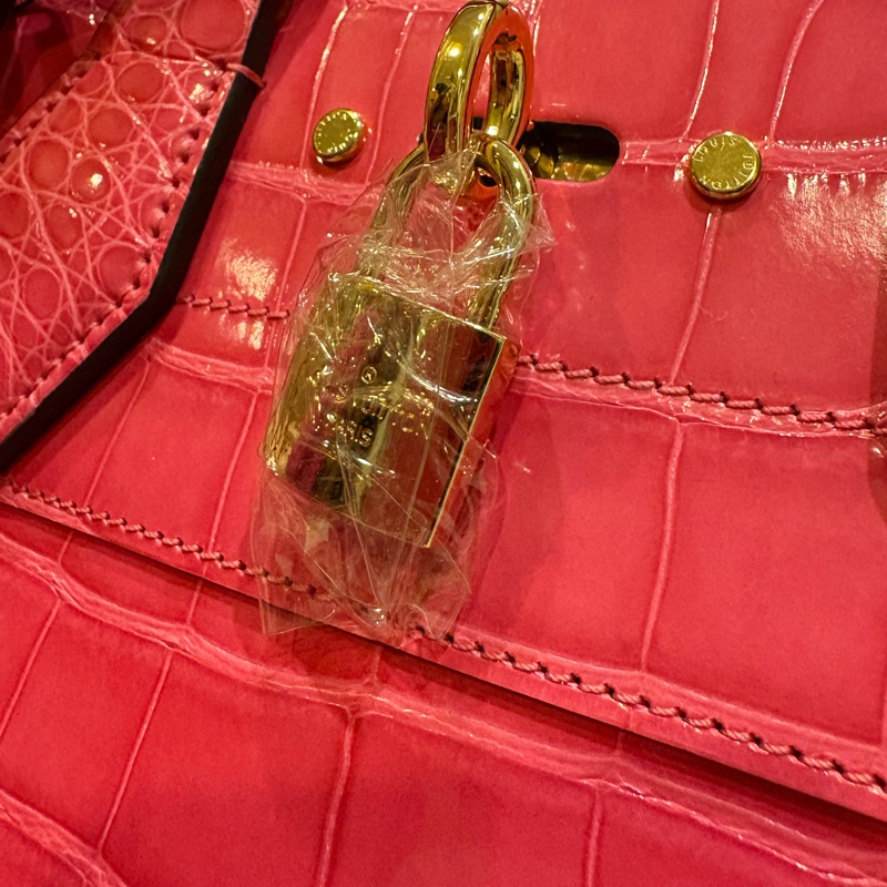 LV 限量鱷魚皮 City Steamer-2