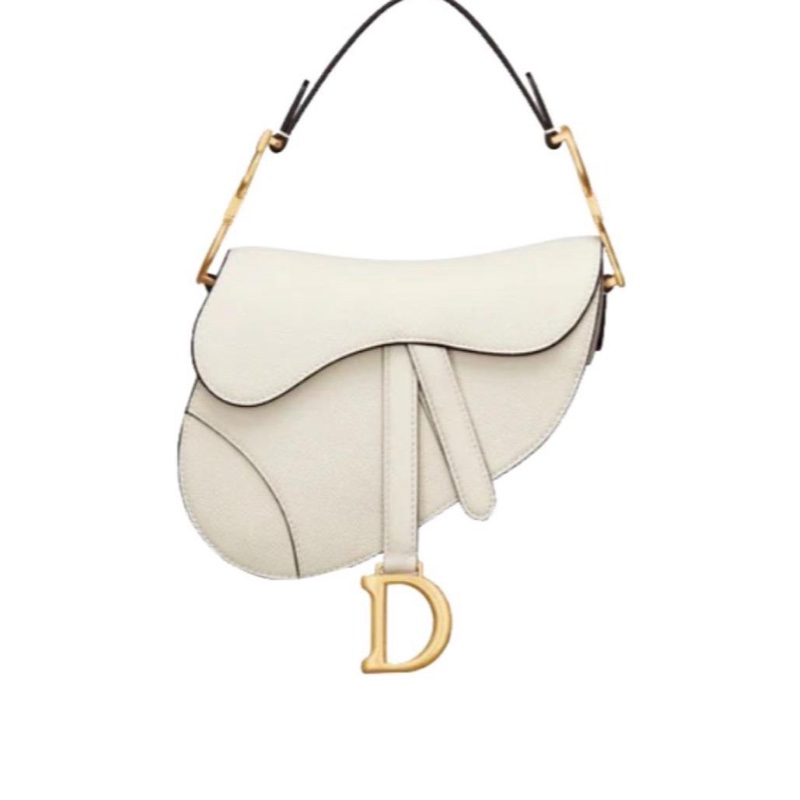 Dior mini 馬鞍包-1