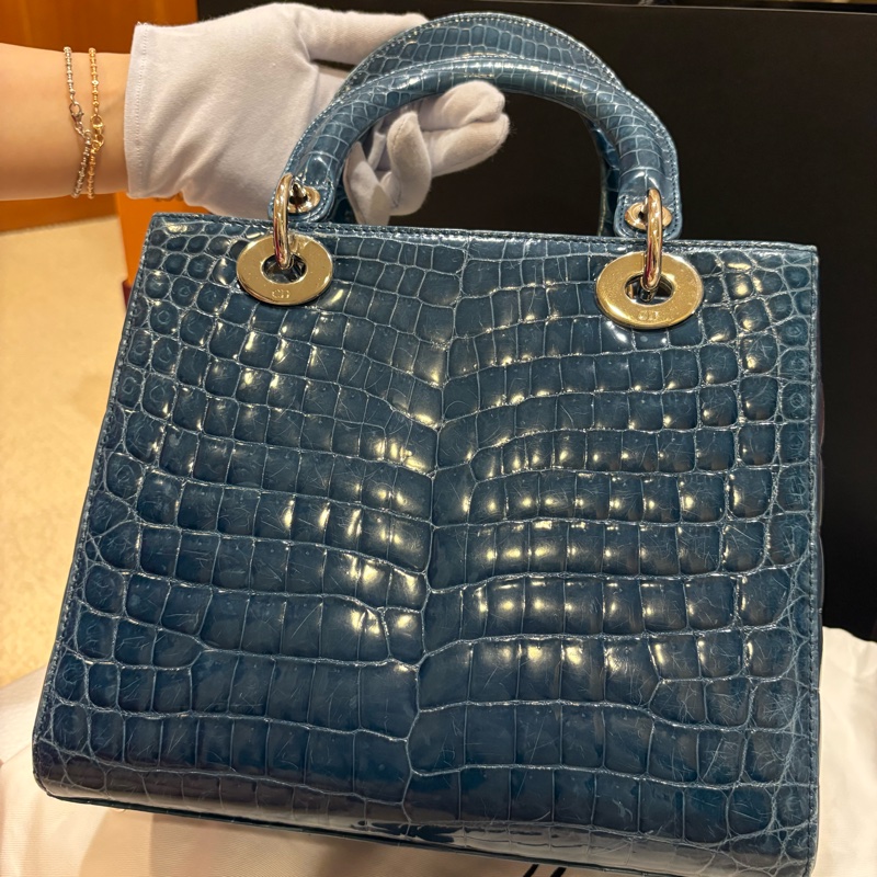 Dior 鱷魚皮黛妃包 Lady Dior-1