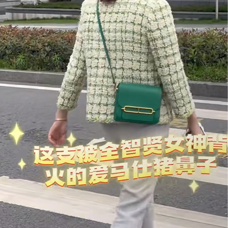 Hermes Roulis mini19 豬鼻子-1