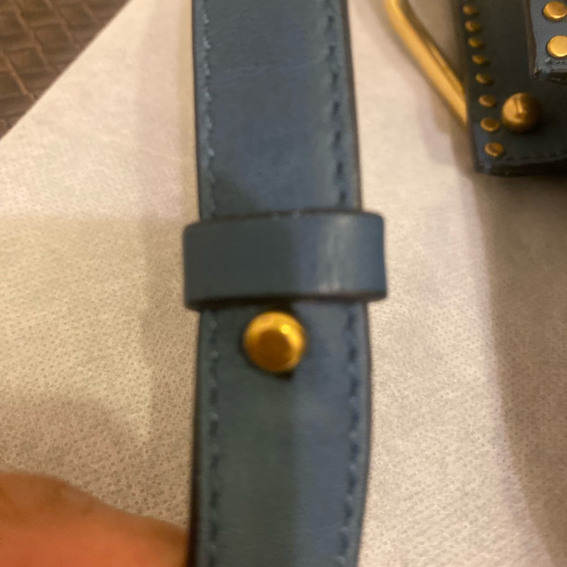 Chloé Hudson 中號 (Medium)-19