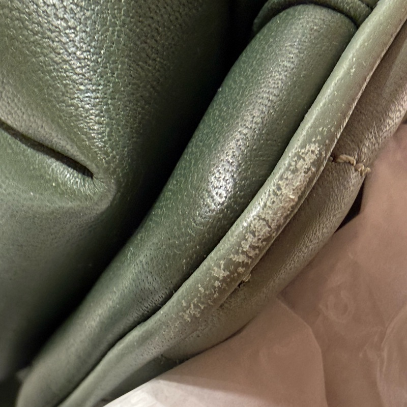 Chanel薄荷綠風琴包-10
