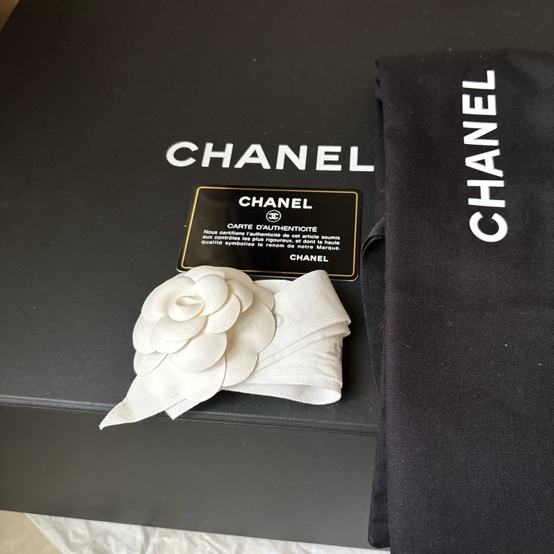 香奈兒Chanel 19包 19bag 小款小號-19