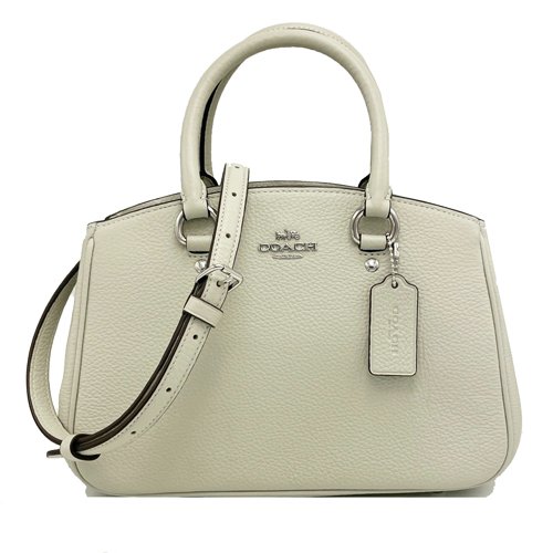 【全新】COACH 素面牛皮手提斜背兩用黛妃包(薄荷綠)-0