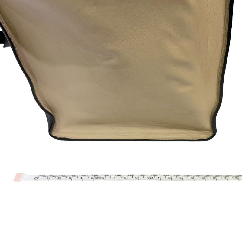 【美收精品】CELINE 藍米色Trapeze肩背包 4-20-19
