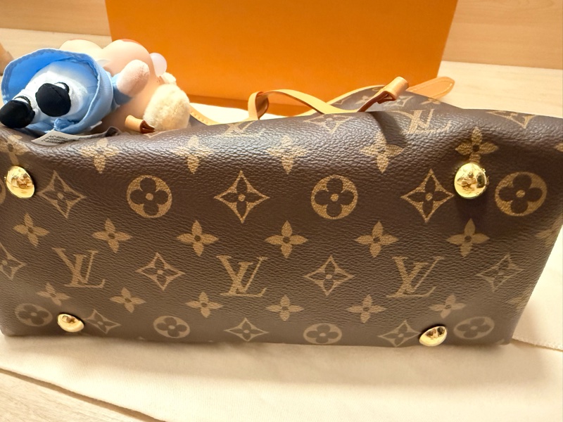 LV M46203 CarryAll PM-10