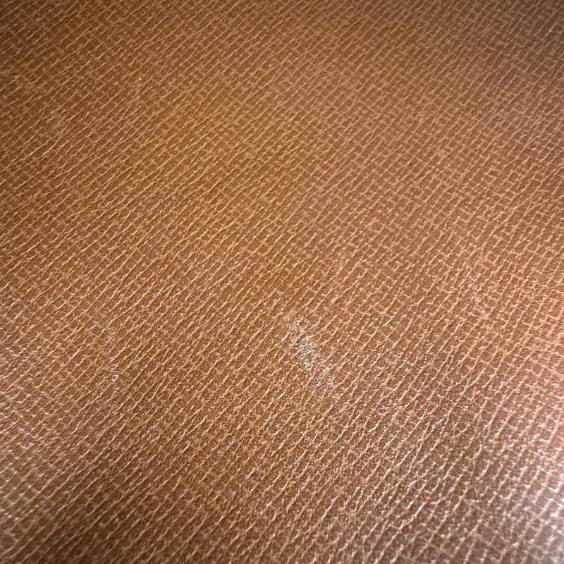 LV Monogram 老花手拿包-22