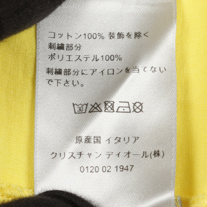 Christian Dior × PETER DOIG 聯名款 T 卹,短袖純棉,黃色,二手男款,M 碼-3