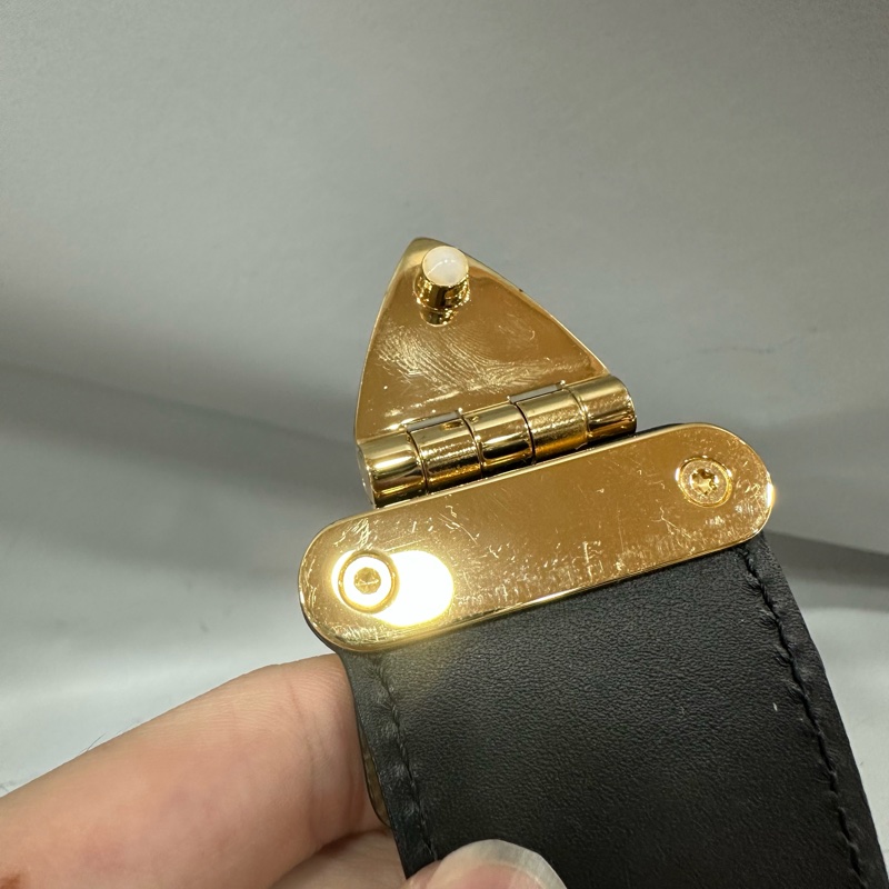 LV M43596 老花雙拼色金釦斜背包 trunk Clutch-24