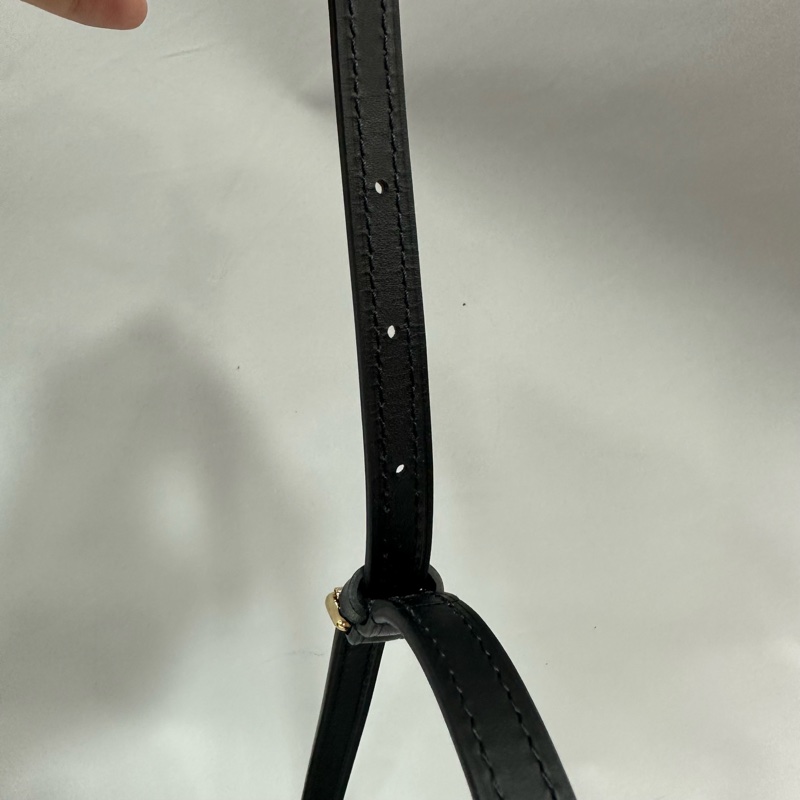 LV M43596 老花雙拼色金釦斜背包 trunk Clutch-42