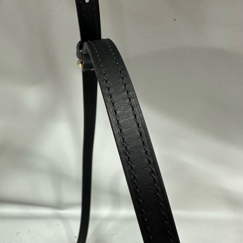 LV M43596 老花雙拼色金釦斜背包 trunk Clutch-43