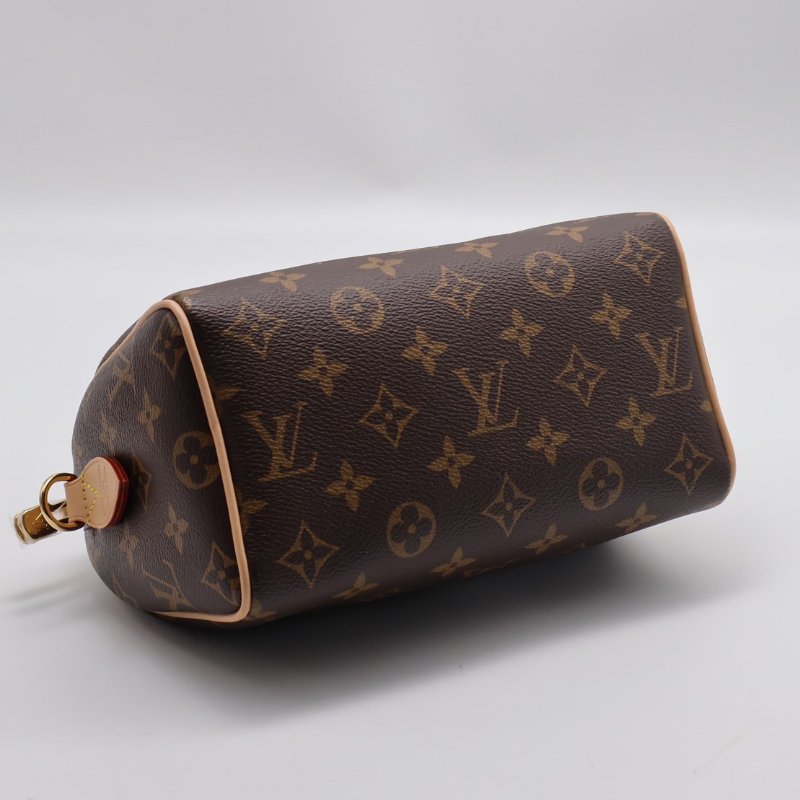 LOUIS VUITTON Speedy 20-4