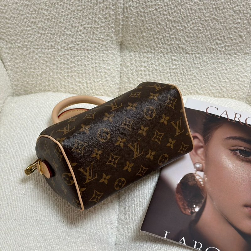 LOUIS VUITTON Speedy 20-4