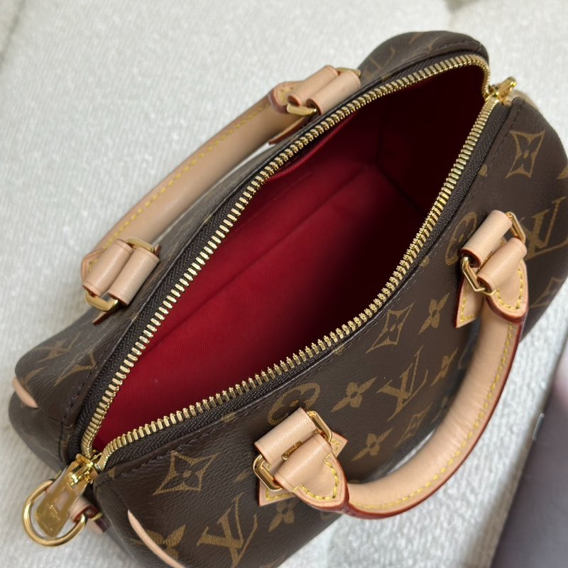 LOUIS VUITTON Speedy 20-6