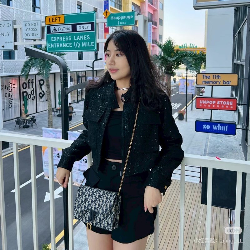 🏷️Dior.Saddle 老花 woc 大款-27