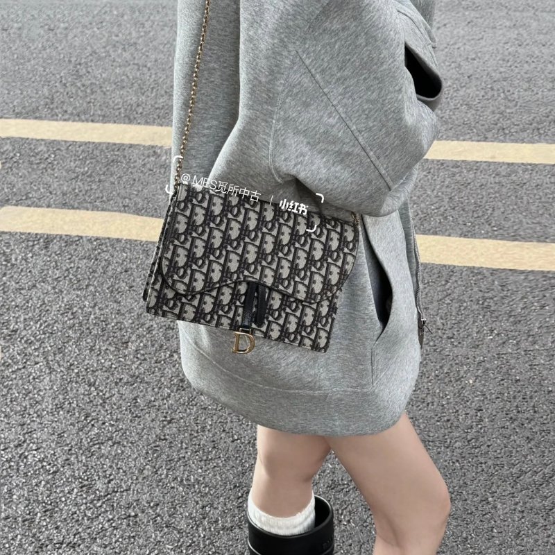 🏷️Dior.Saddle 老花 woc 大款-28
