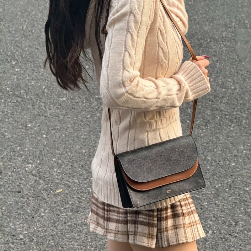 🏷️Celine.Triomphe 老花 woc-29