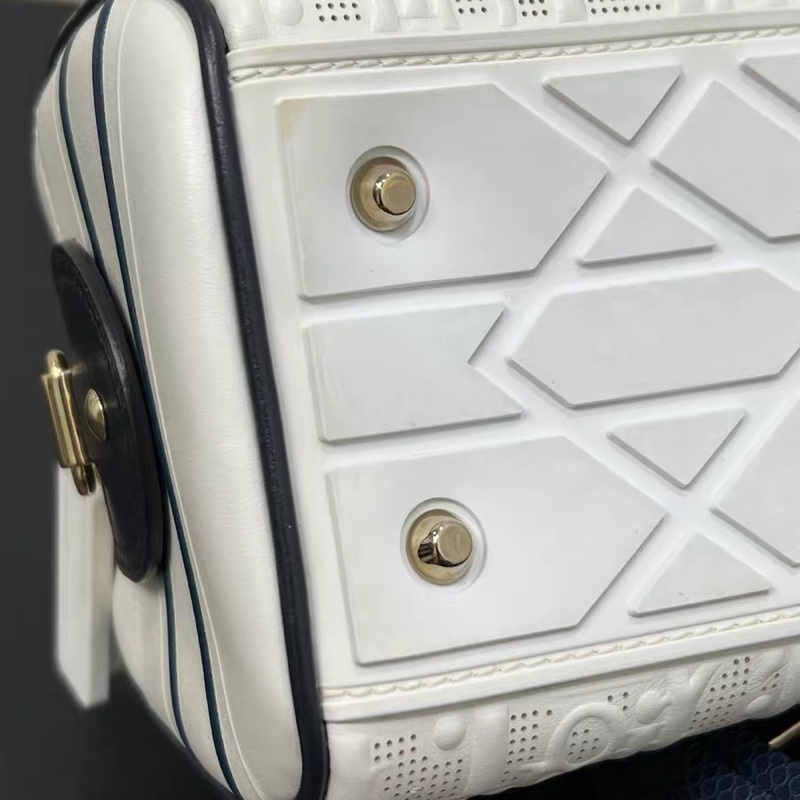 Dior 保齡球包-11