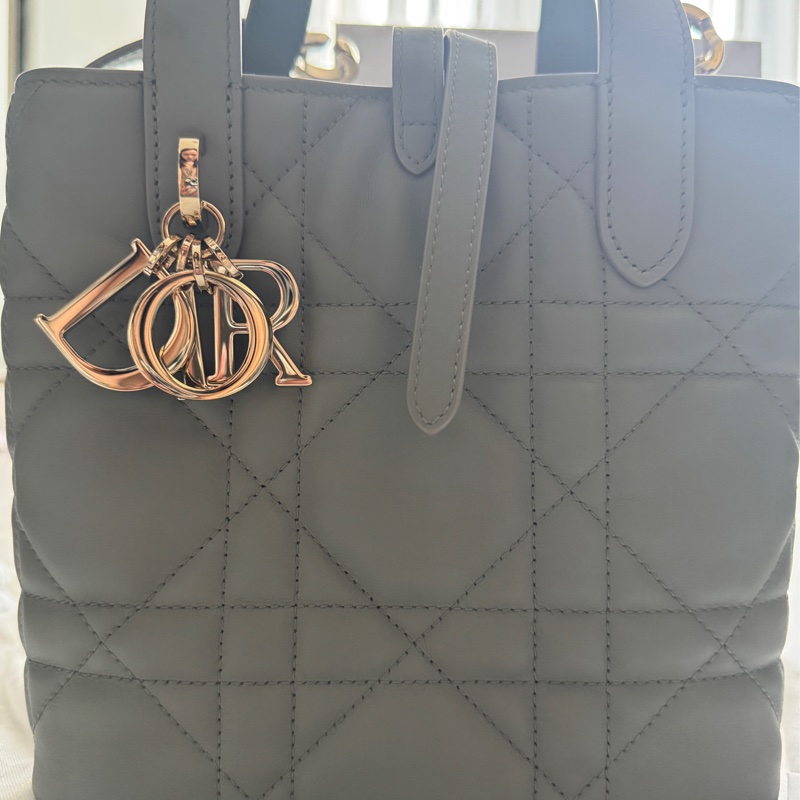 Dior Small Toujours 小號-1
