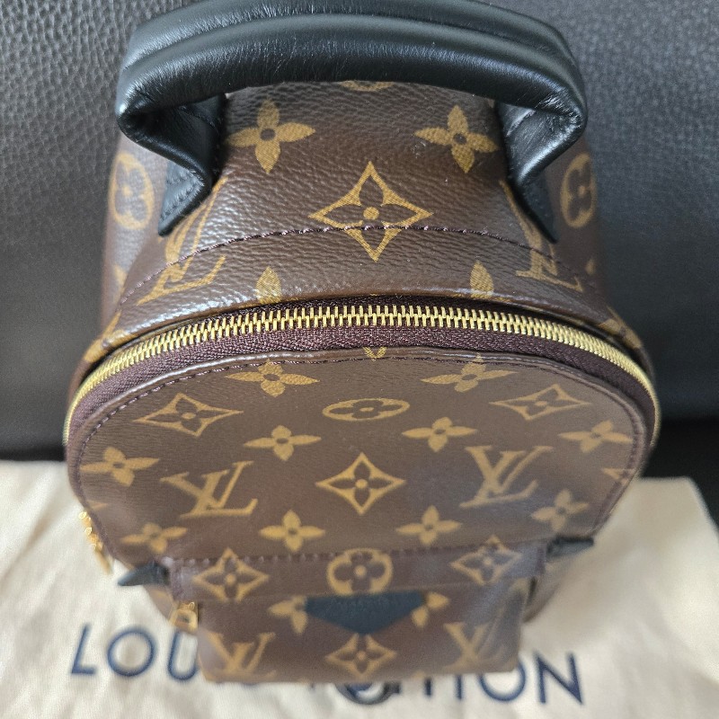LV Palm Springs Mini backpack 小背包-11