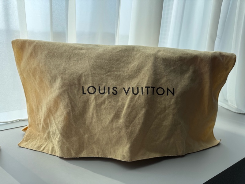 全新 LV 老花 餃子包-13