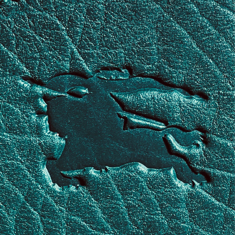 🎁全新盒裝2024新款 Burberry 巴寶莉深綠 馬鞍戰馬名片夾/卡夾-2