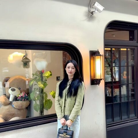 LV Trianon花木條手提硬盒芯片款21*16*11 98新配件鏡子塵袋