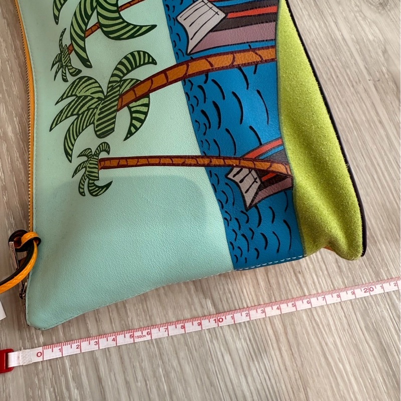 LOEWE 椰子手拿包 ❣️-1