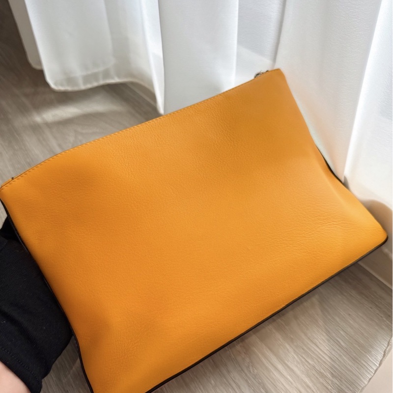 LOEWE 椰子手拿包 ❣️-4