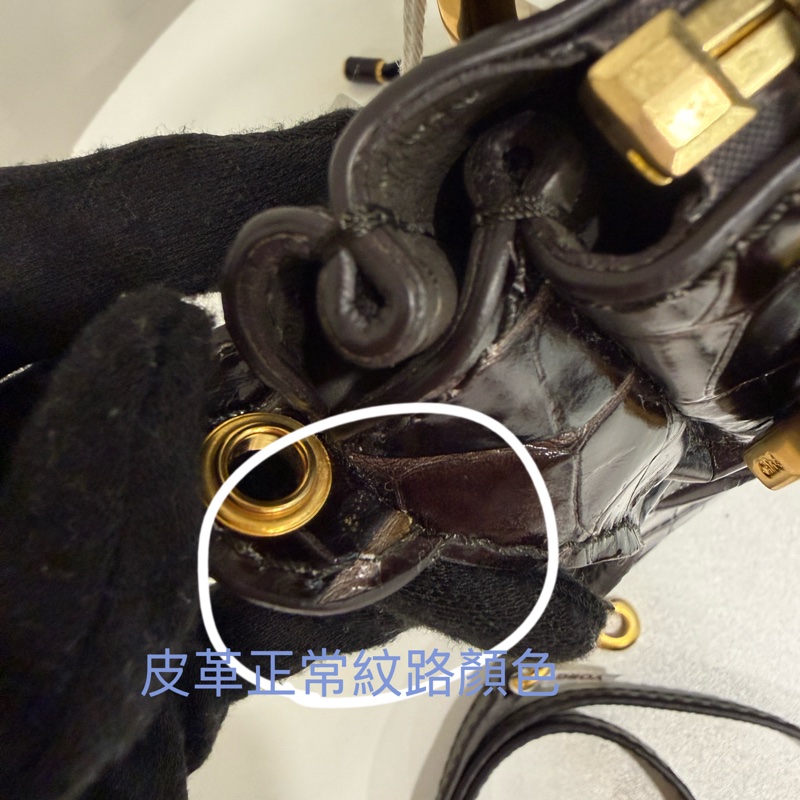CHLOE鱷魚壓紋牛皮革馬鞍包-21