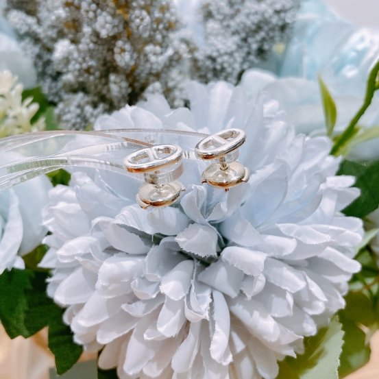 TW4469 Hermes 愛馬仕 925銀豬鼻耳環 Chaine D'ancre Earrings 925 Silver-5