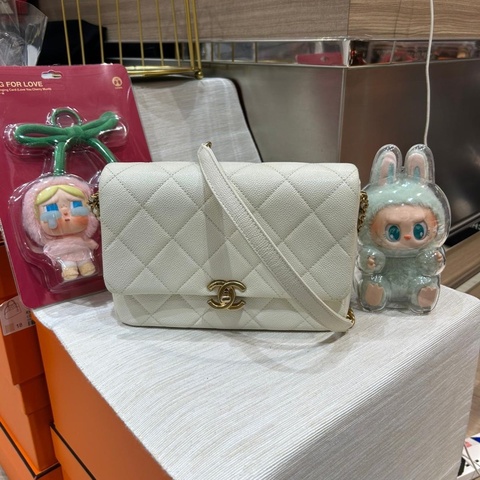Chanel flap bag AS3103,荔枝牛皮