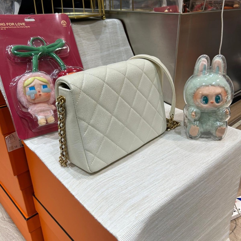 Chanel flap bag AS3103,荔枝牛皮-3