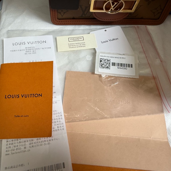 LV DAUPHINE MINI-10