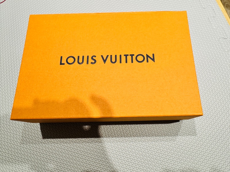 LV M69423 經典 VAVIN 系列Empreinte 壓花牛皮肩/斜背包(絕版斑鳩灰色)-17