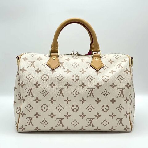 LV 沙丘 speedy30手提斜背包 芯片款 30*21*17 98新配件塵袋鑰匙鎖購證