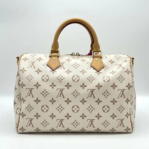 LV 沙丘 speedy30手提斜背包 芯片款 30*21*17 98新配件塵袋鑰匙鎖購證
