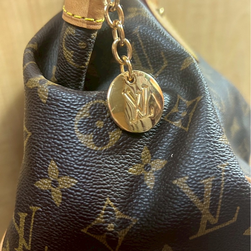 Louis Vuitton 水餃包-12