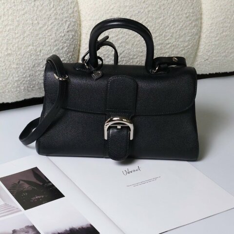 Delvaux East to west - 黑銀