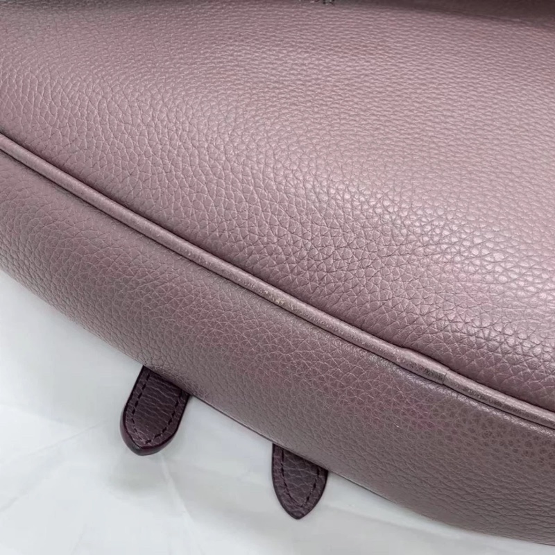 DIOR 迪奧 女士迷你馬鞍肩包 馬鞍紅;胸包-9