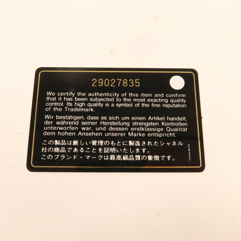 CHANEL 羊皮皮革Mini Classic 17銀扣肩背袋-14