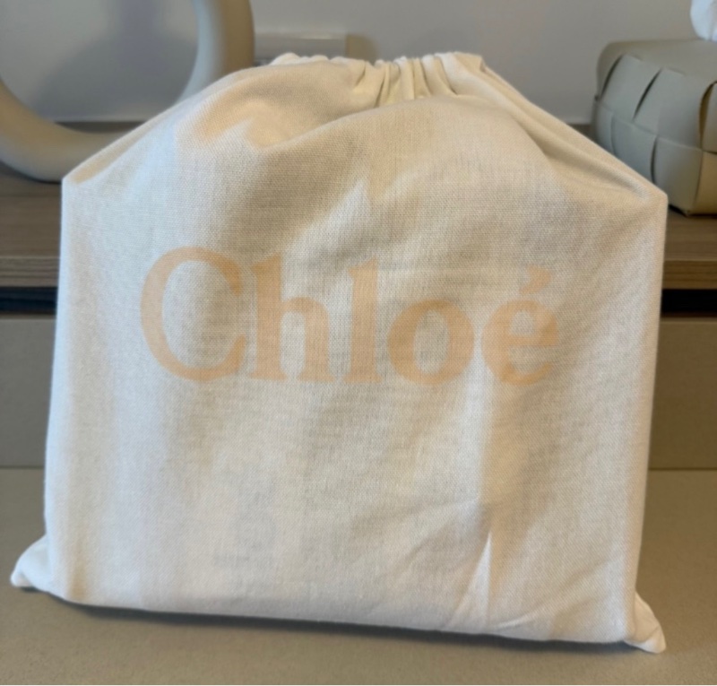 Chloe’ 小號 Woody 帆布皮革 手提斜背 購物包-4