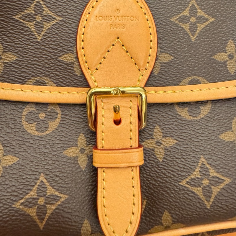 Louis Vuitton Diane M45985 法棍包 年輕搶眼粉色揹帶-16