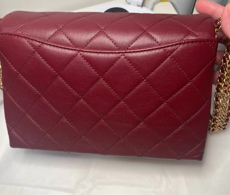Chanel bag-1