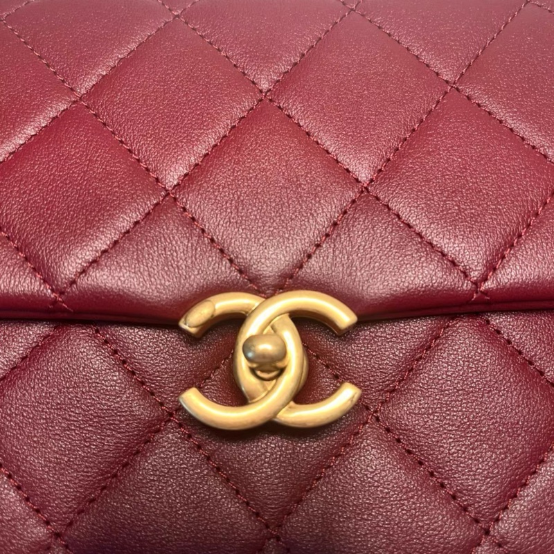 Chanel bag-6