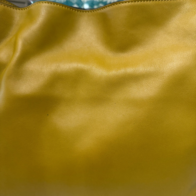 Loewe芥末黃小牛皮金釦束口肩斜背包-6