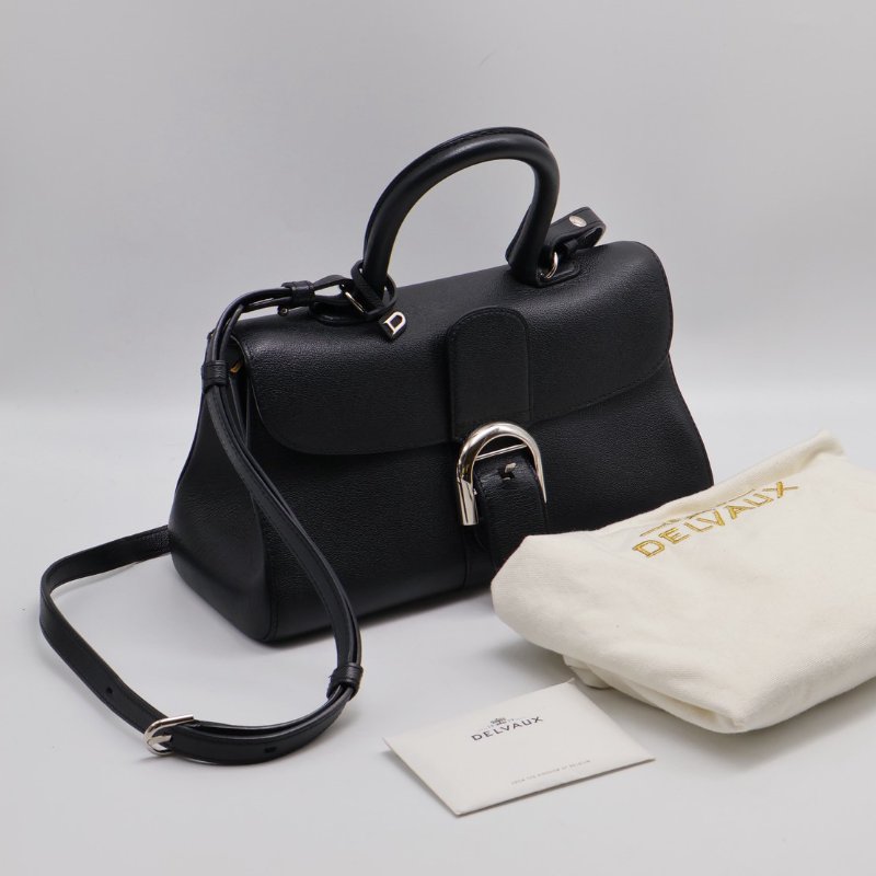 Delvaux East to west - 黑銀-6